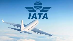 Unlock an Edge in Full-Service Travel: Why IATA Matters for Cruise Planners Advisors